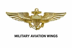 USN-USMC Military Aviation Wing Gold Colored