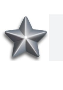 Silver Service Star